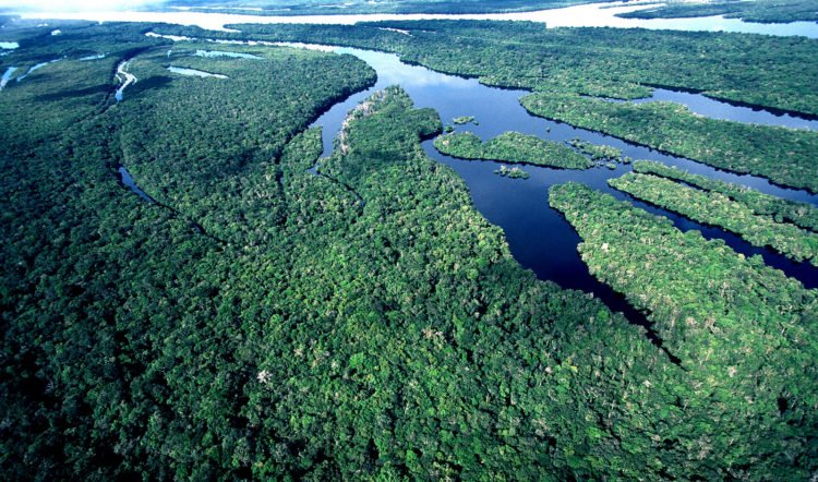 Reserva da Biosfera da Amazônia tem atualização