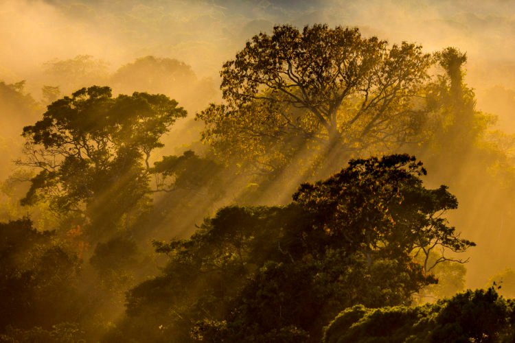Hotel da Amazônia vende fotos para ajudar famílias