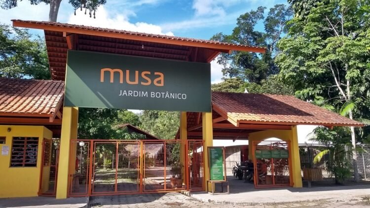 Museu da Amazônia busca  apoio financeiro