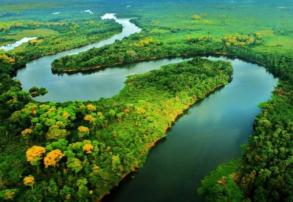 Itaú arrecada recursos para a Amazônia
