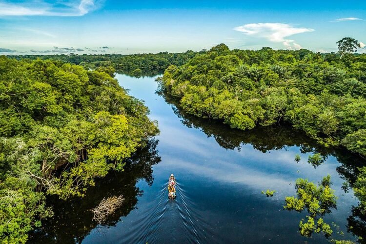 NatGeo promove ações e campanha pela Amazônia