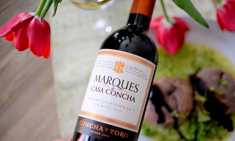 Concha y Toro dobra venda de vinhos no Brasil