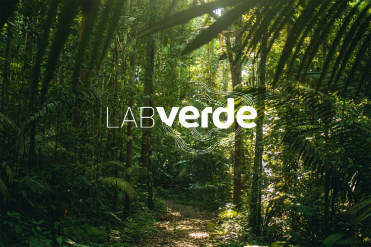Labverde lança catálogo ‘Ecologias Especulativas’