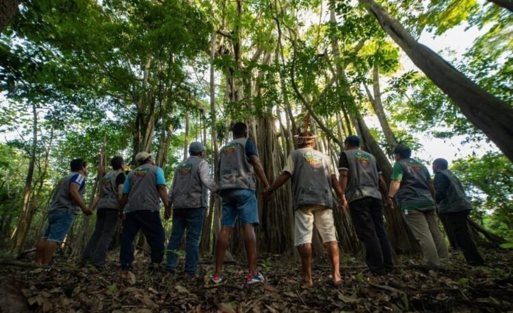 ‘Pré-Cúpula da Amazônia’ será realizada em Manaus
