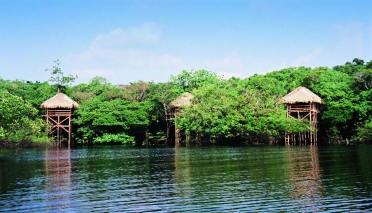 Juma Amazon Lodge lança novo cardápio na floresta