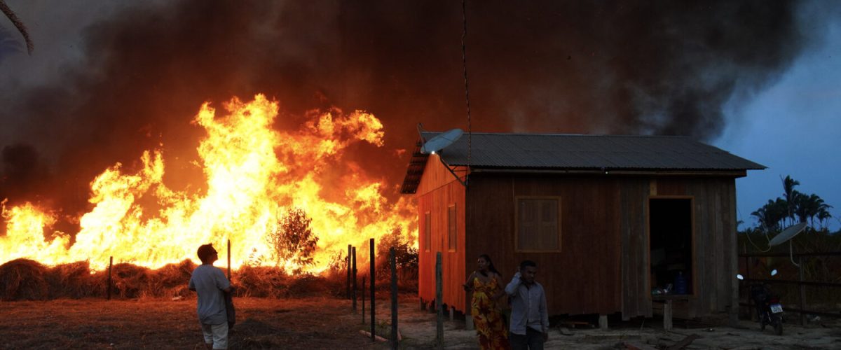 Créditos - Ana Jaguatirica_Cenarium (1)