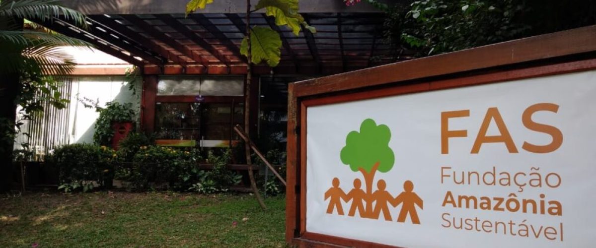 FAS_capa
