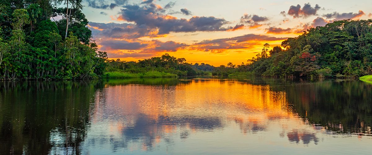 amazonia_capa