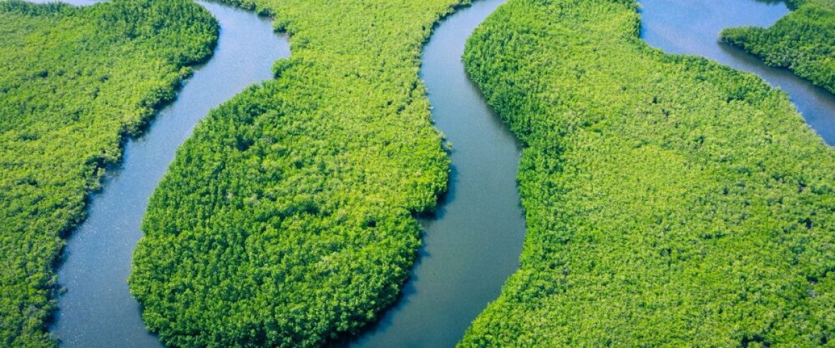 amazonia_verde
