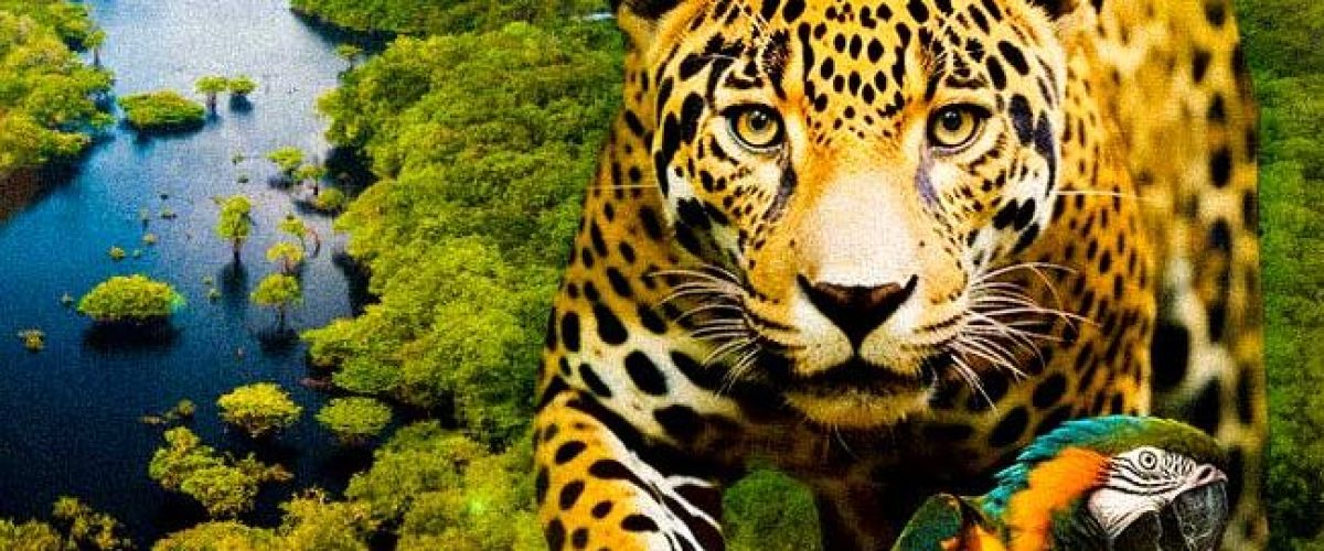 aventura_Amazonia_capa