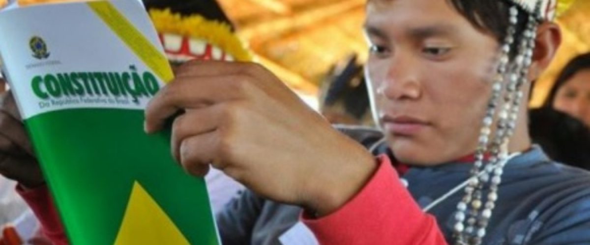 constituicao_indigena_capa