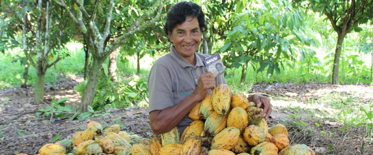 empreendedorismo_amazonia_capa