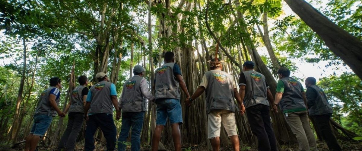 grupo_floresta