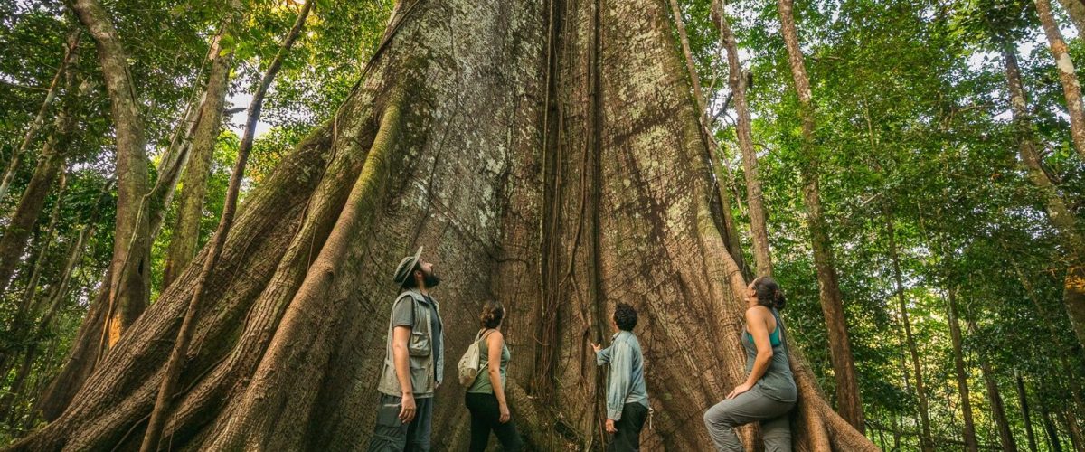 turismo_sumauma_capa